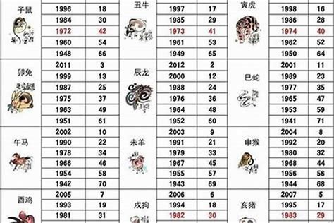 屬狗的小人|生肖狗性格優缺點、運勢深度分析、年份、配對指南